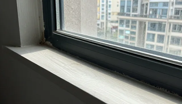 找潍坊：区域精准搜索的性能与适用条件分析